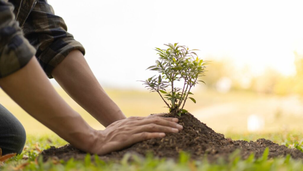 sustainability podcasts
